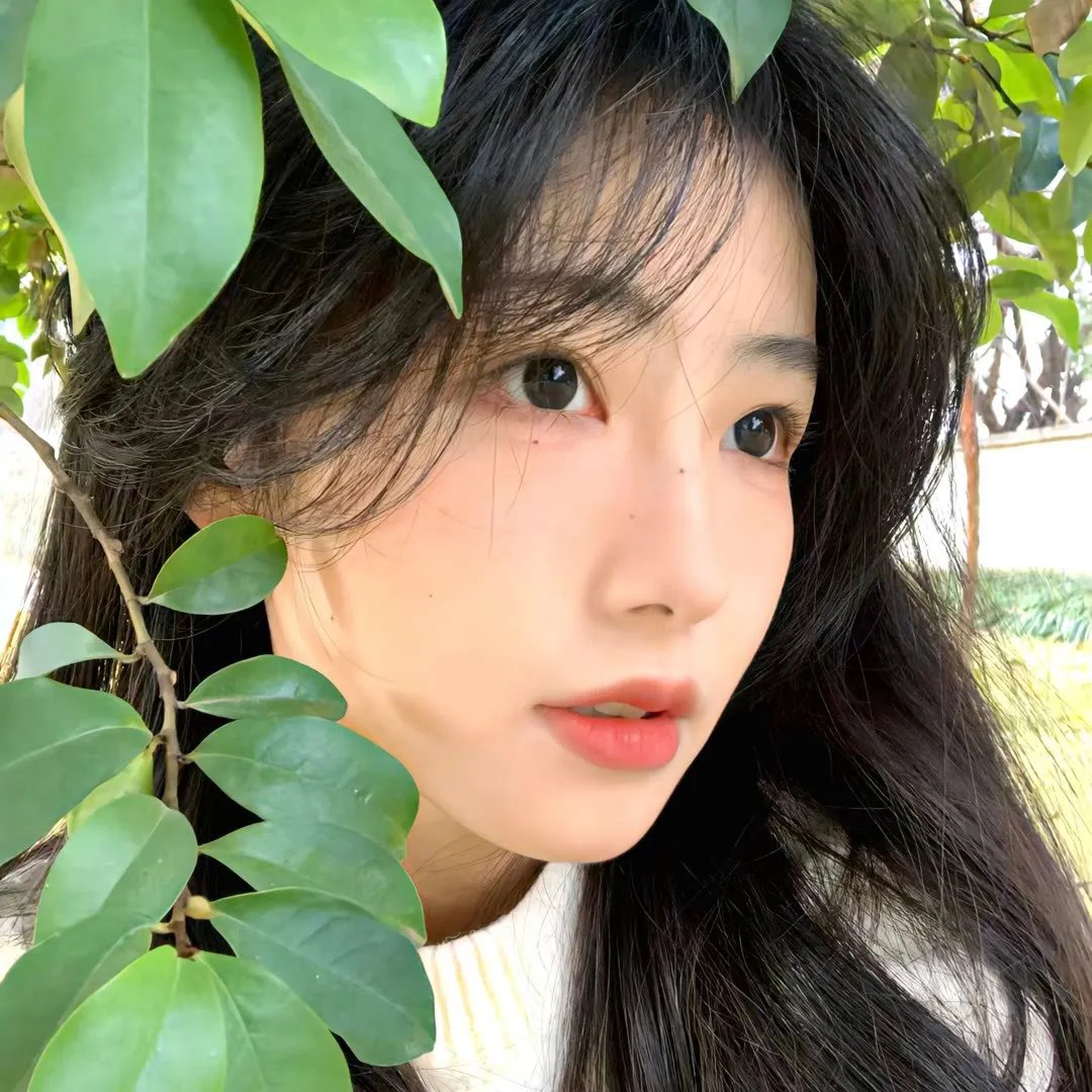 星掠者